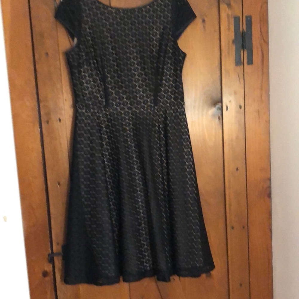 Fully lined fit and flare Kasper dress -